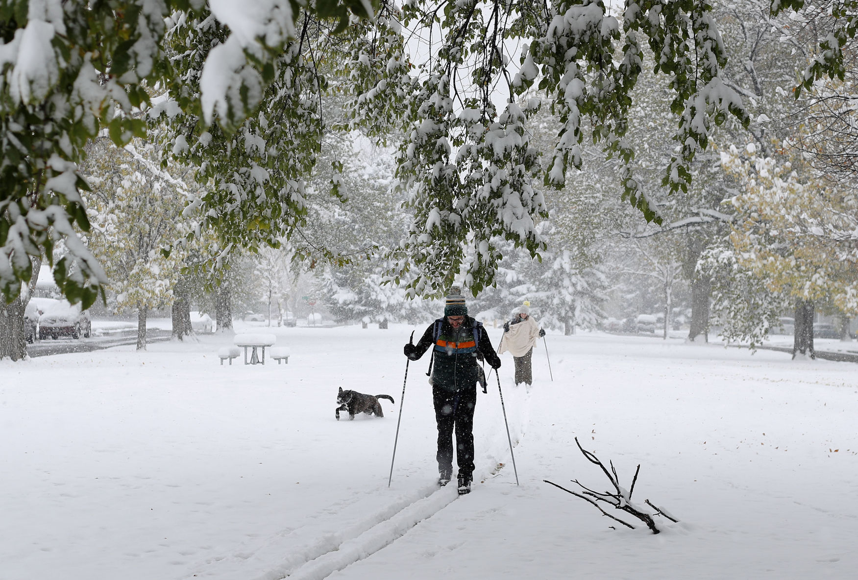 Snow Day